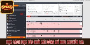 Đọc kèo nhà cái bóng đá